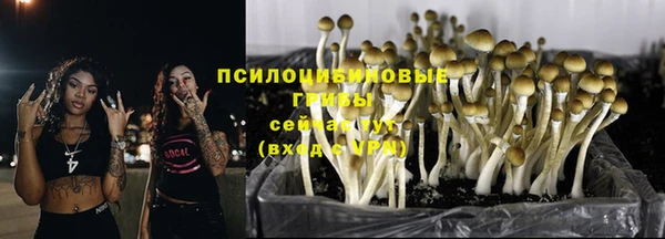 спиды Горнозаводск