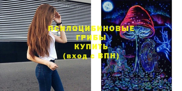 спиды Горнозаводск