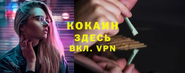 ALPHA-PVP Гусев