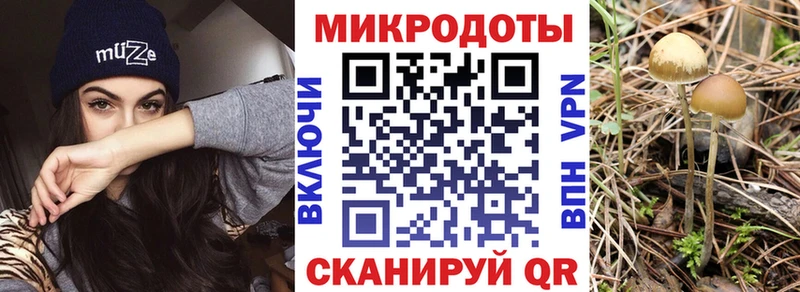 Псилоцибиновые грибы Psilocybe  Купить  Светогорск 